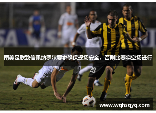 南美足联致信佩纳罗尔要求确保现场安全，否则比赛将空场进行