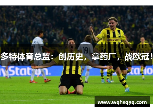 多特体育总监：创历史，拿药厂，战欧冠！